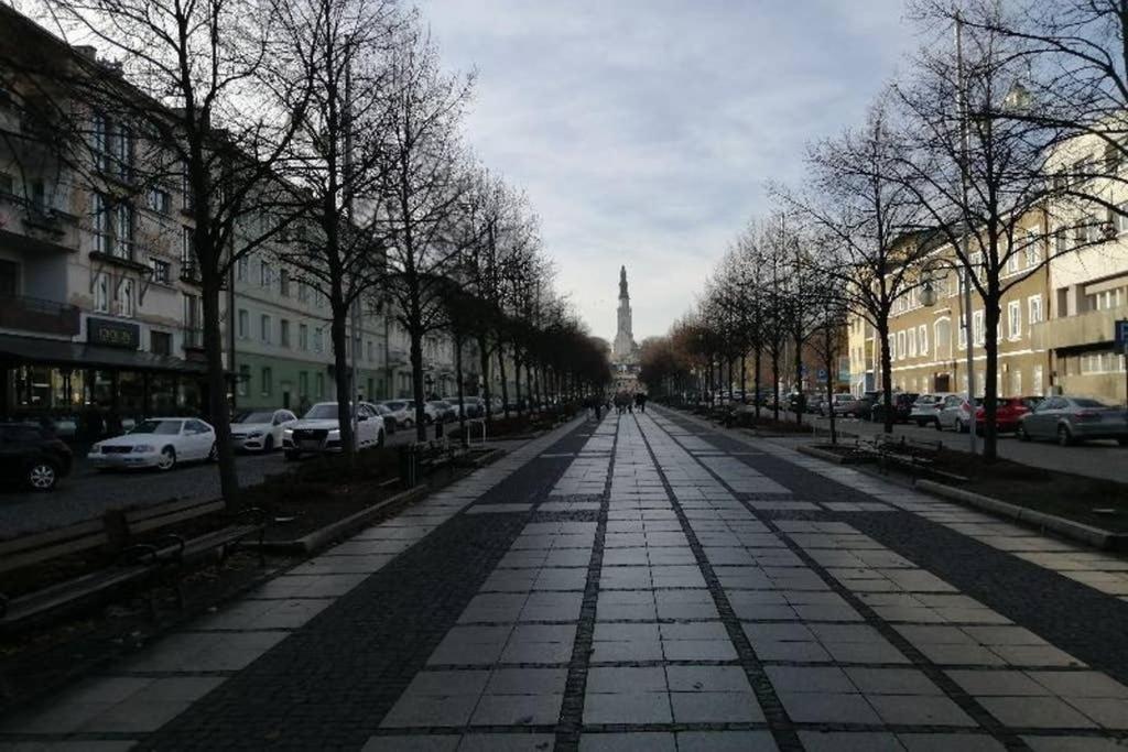 Lucy - Scisle Centrum Czestochowy Częstochowa
